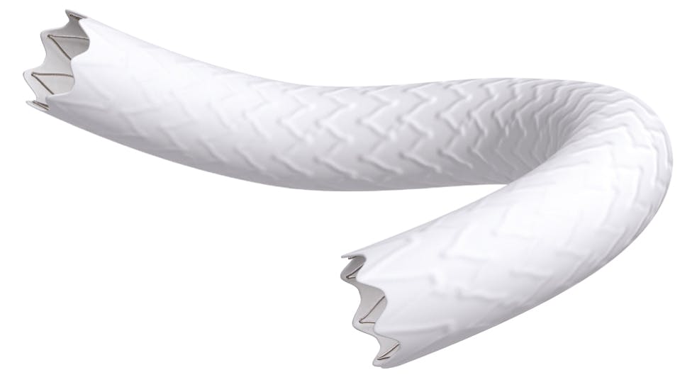 Bentley Begraft Peripheral Plus Stent Evaluated As Bridging Stent In